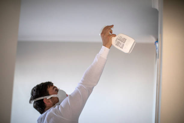 Best Attic Mold Removal  in Coburg, OR