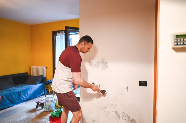 Professional Mold Removal in Coburg, OR